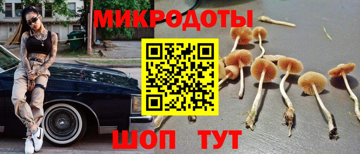 Галлюциногенные грибы ЛСД Кузнецк