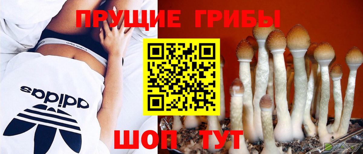 Псилоцибиновые грибы мухоморы  Вход с VPN  Псилоцибиновые грибы Psilocybe  Кузнецк 