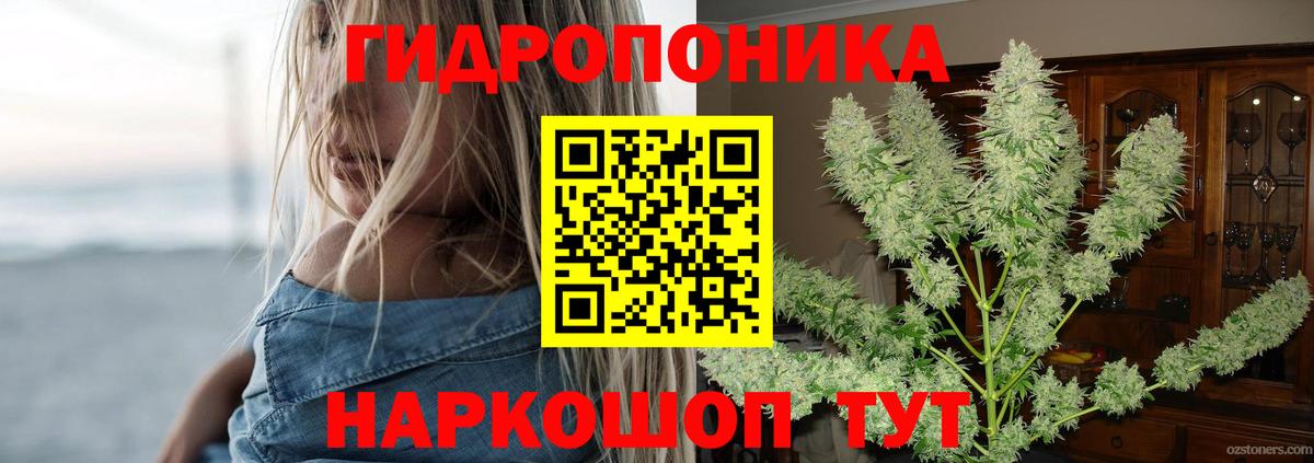 Конопля LSD WEED Кузнецк